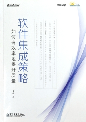 软件集成策略