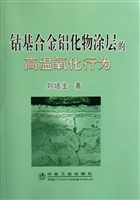 钴基合金铝化物涂层的
