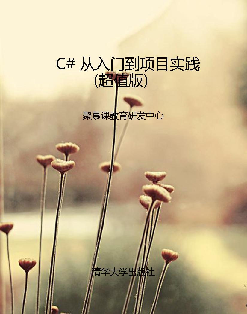C# 从入门到项目实践（