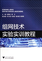 组网技术实验实训教程