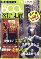 精彩样板间详解800例（