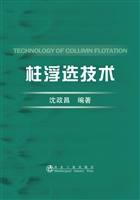 柱浮选技术