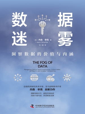 数据迷雾：洞察数据的价