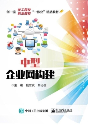中型企业网构建