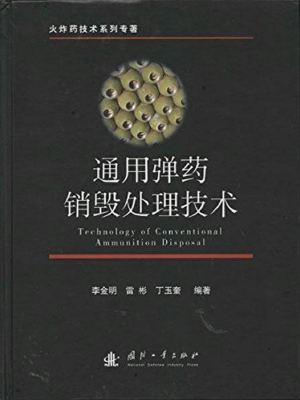 通用弹药销毁处理技术