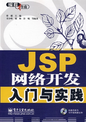 JSP网络开发入门与实