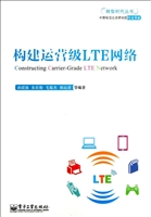 构建运营级LTE网络