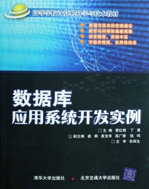 数据库应用系统开发实