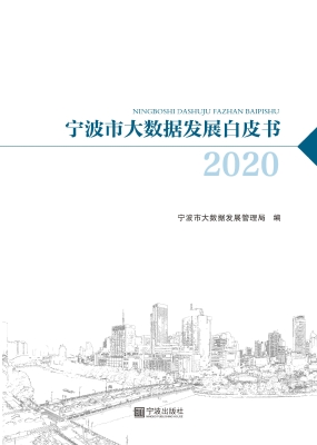 2020宁波市大数据发展