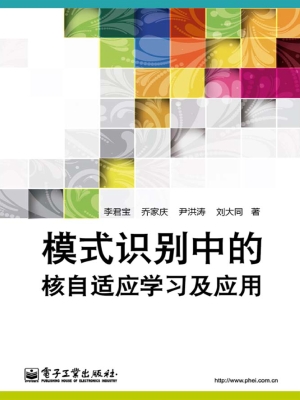 模式识别中的核自适应