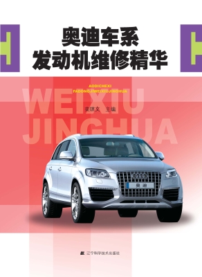 奥迪车系发动机维修精