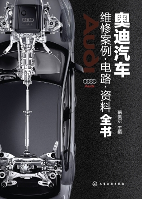 奥迪汽车维修案例·电