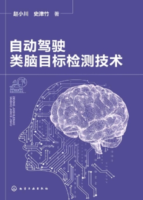 自动驾驶类脑目标检测
