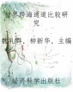 世界跨海通道比较研究