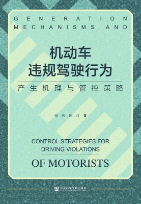 机动车违规驾驶行为：产