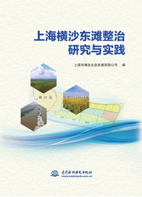 上海横沙东滩整治研究
