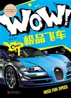 WOW！极品飞车