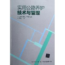 实用公路养护技术与管
