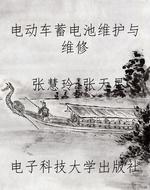 电动车蓄电池维护与维