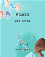 防淘墙工程