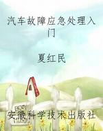 汽车故障应急处理入门