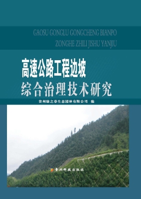高速公路工程边坡综合