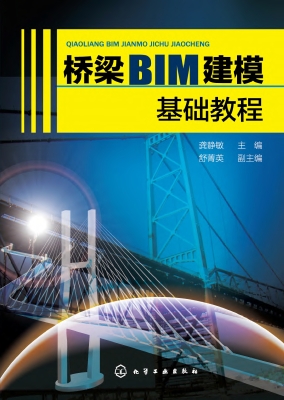 桥梁BIM建模基础教程