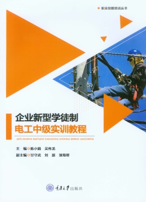 企业新型学徒制电工中