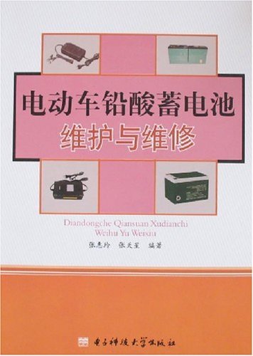 电动车铅酸蓄电池维护