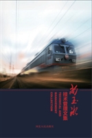尚玉冰技术管理文集