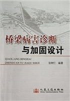 桥梁病害诊断与加固设