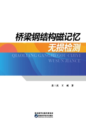 桥梁钢结构磁记忆无损