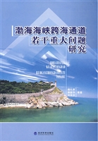 渤海海峡跨海通道若干