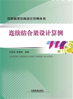连续结合梁设计算例