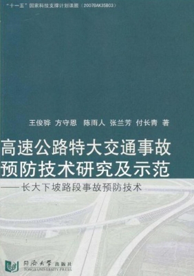 高速公路特大交通事故