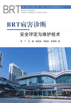 BRT病害诊断、安全评