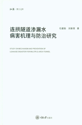 连拱隧道渗漏水病害机
