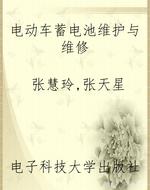 电动车蓄电池维护与维