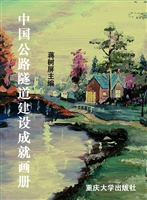 中国公路隧道建设成就