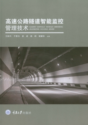 高速公路隧道智能监控