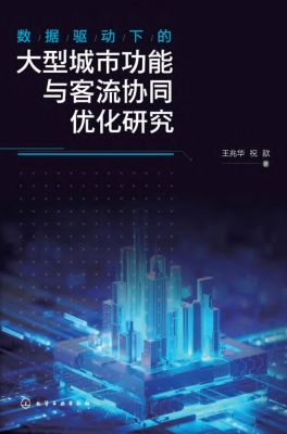 数据驱动下的大型城市