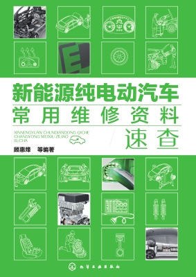 新能源纯电动汽车常用
