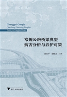 常规公路桥梁典型病害