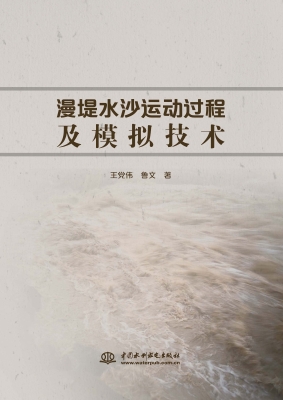 漫堤水沙运动过程及模
