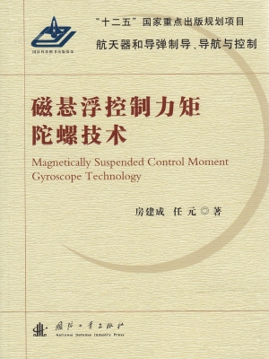 磁悬浮控制力矩陀螺技