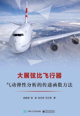大展弦比飞行器气动弹