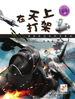 在天上打架