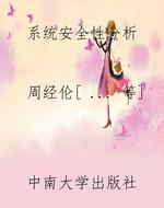 系统安全性分析