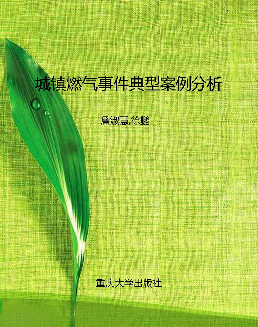 城镇燃气事件典型案例