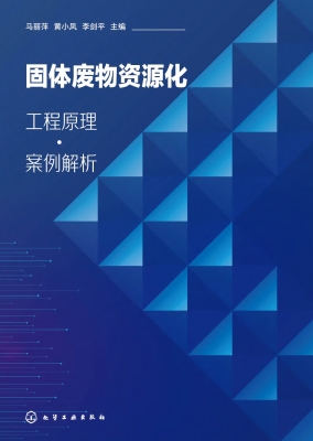 固体废物资源化：工程原